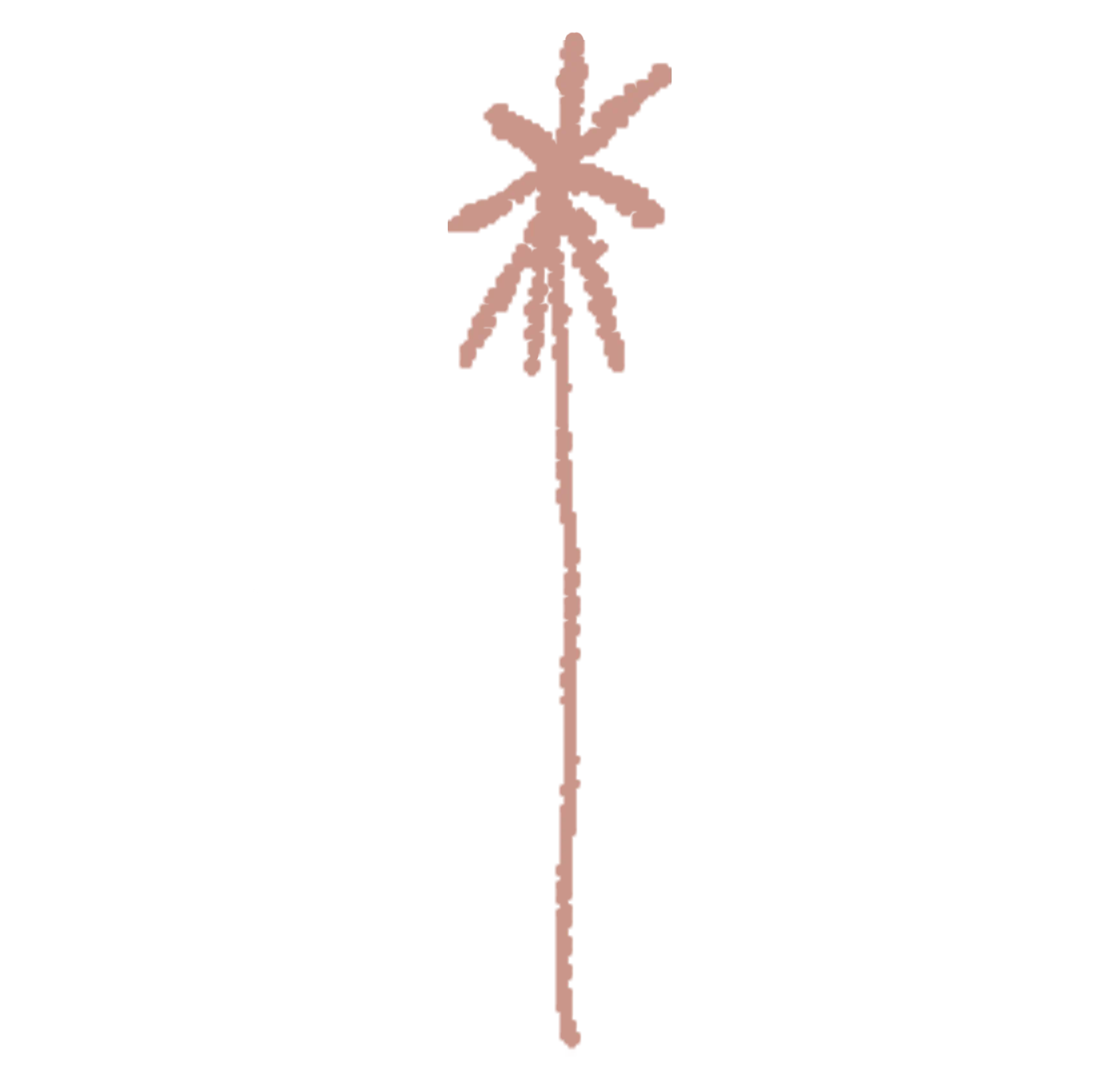 Namoré_Palm_Pink1