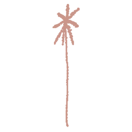 cropped-Namore_Palm_Pink1.webp